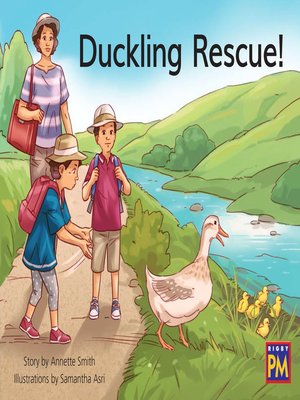 cover image of Duckling Rescue